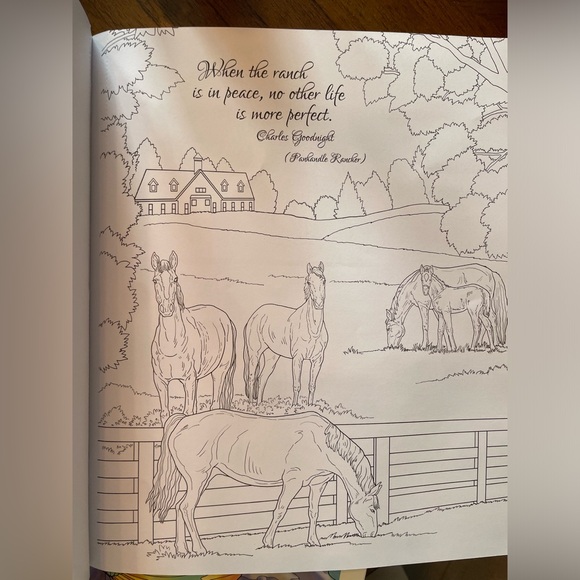 Strong Spirit Coloring Art Book - Picture 4 of 6